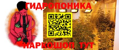 a pvp Абинск