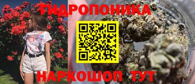 spice Абакан